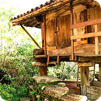 horreo